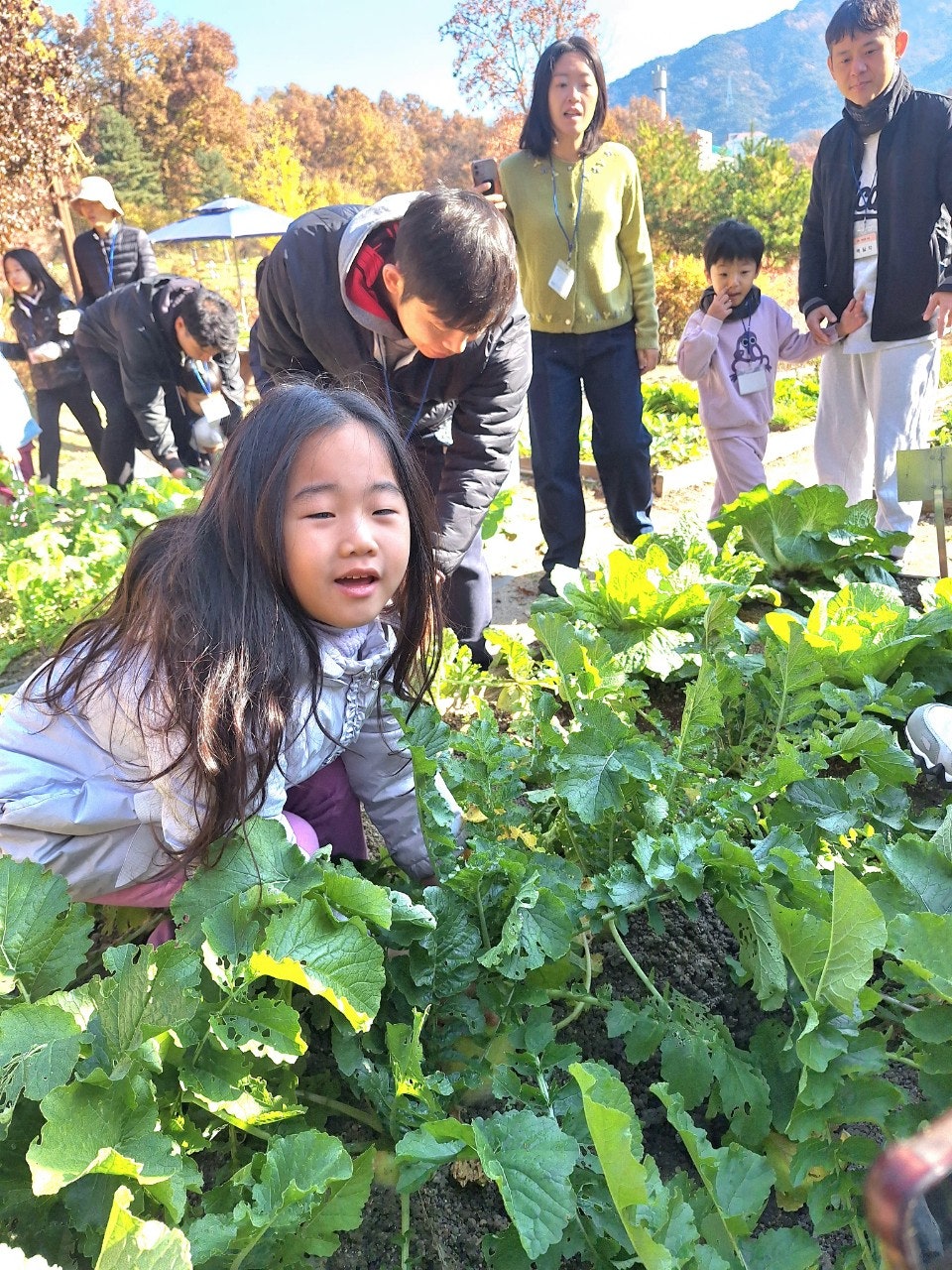 사용자가 올린 이미지