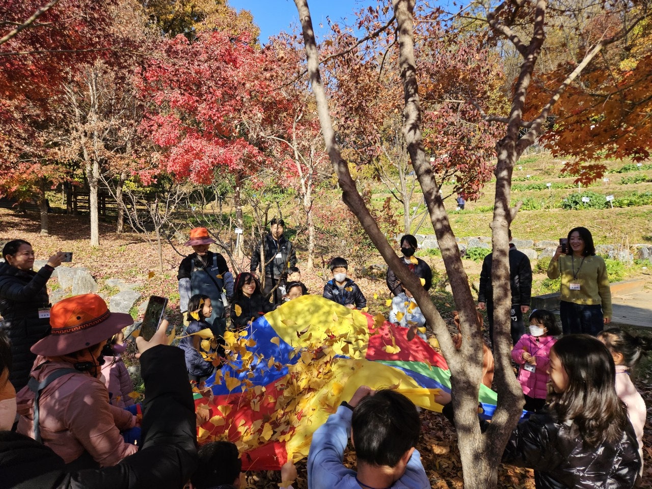 사용자가 올린 이미지