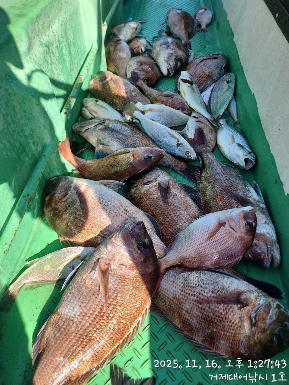 사용자가 올린 이미지