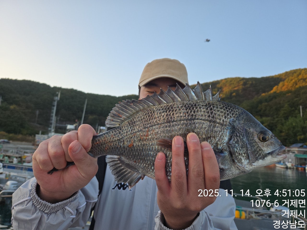 사용자가 올린 이미지