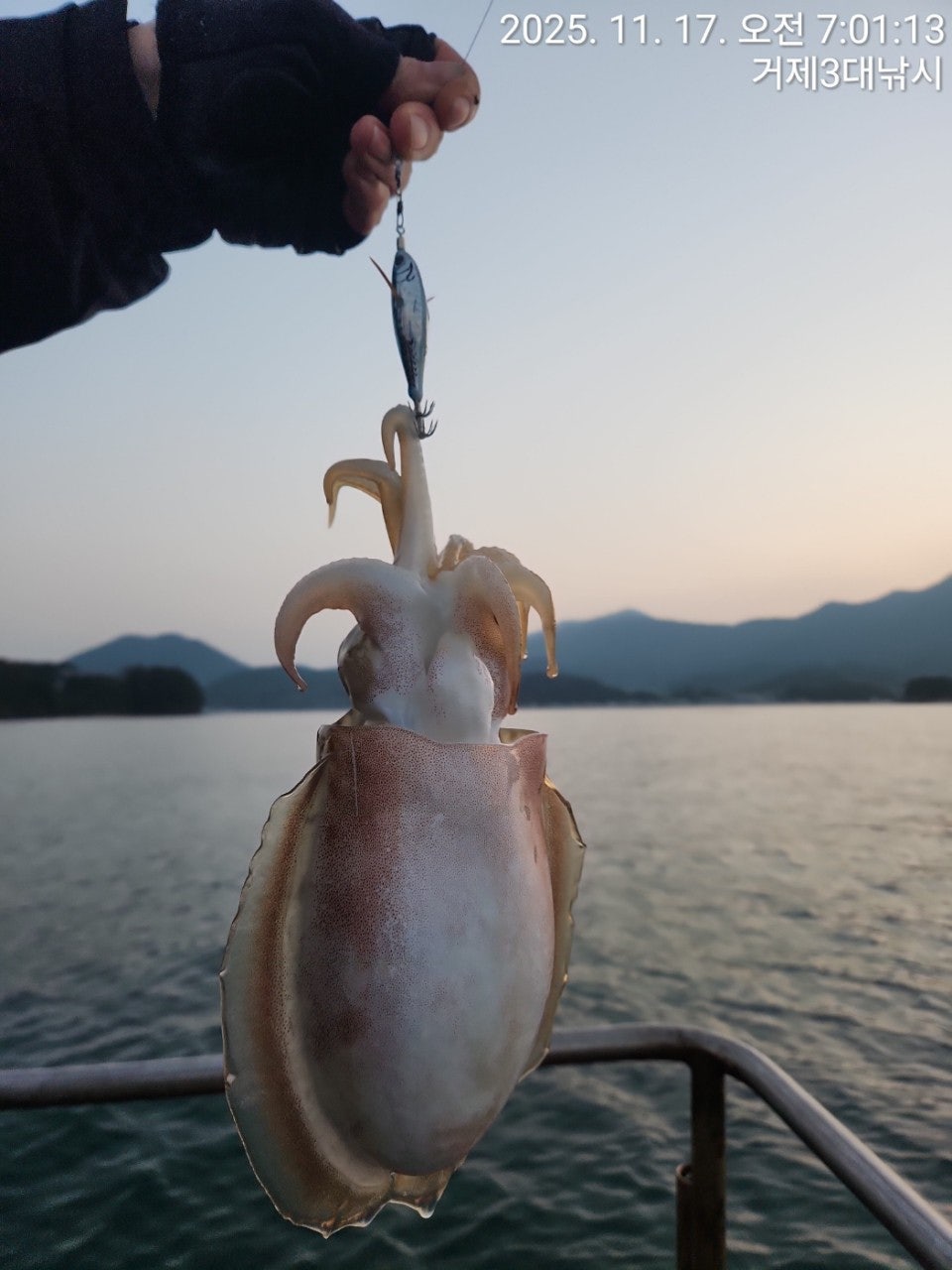 사용자가 올린 이미지