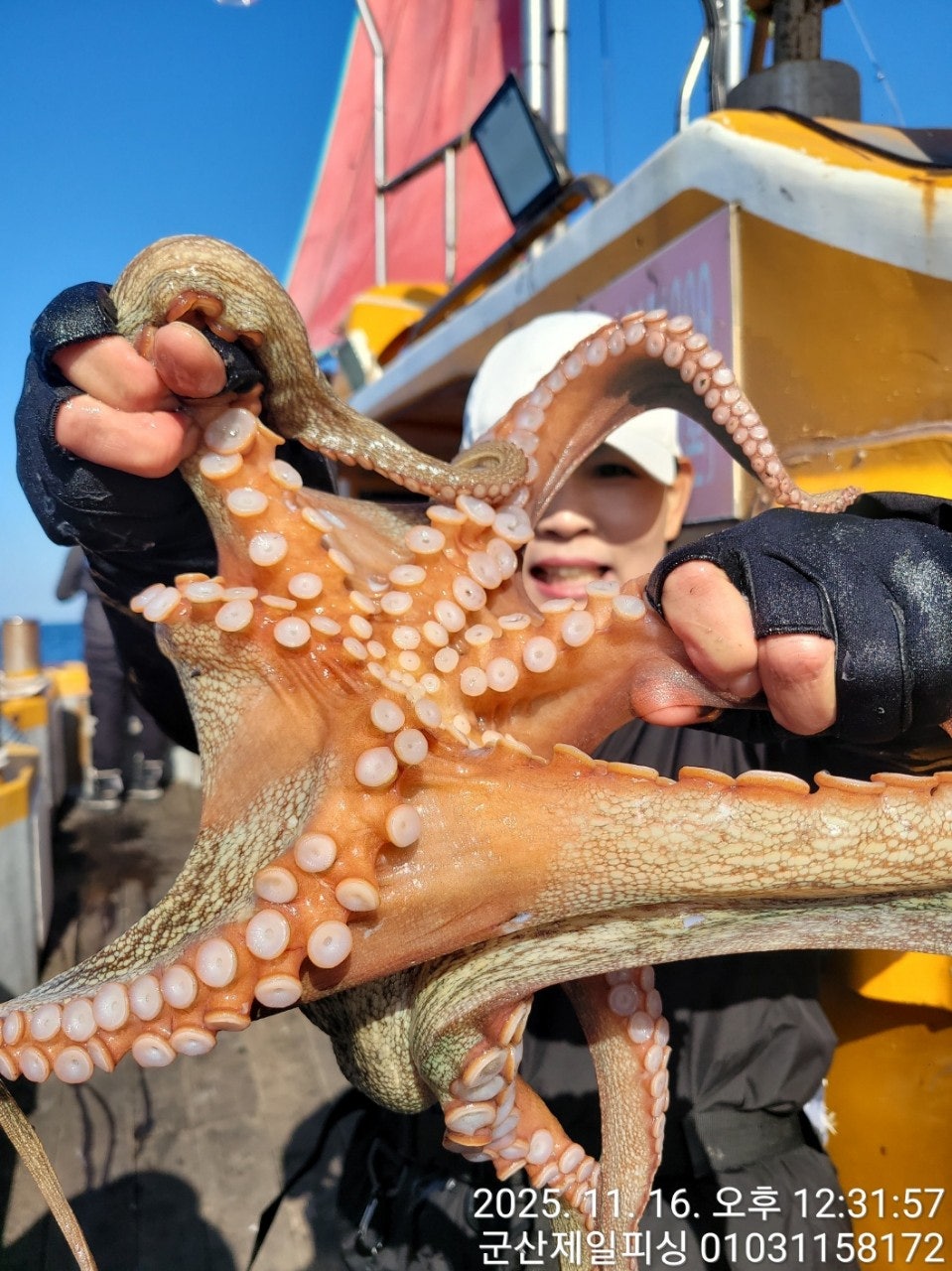 사용자가 올린 이미지