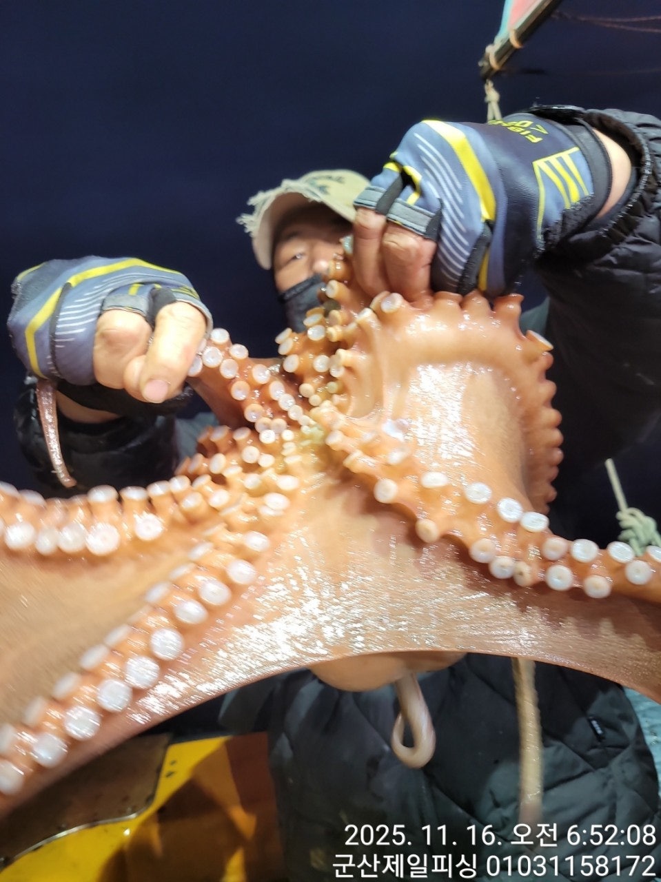 사용자가 올린 이미지