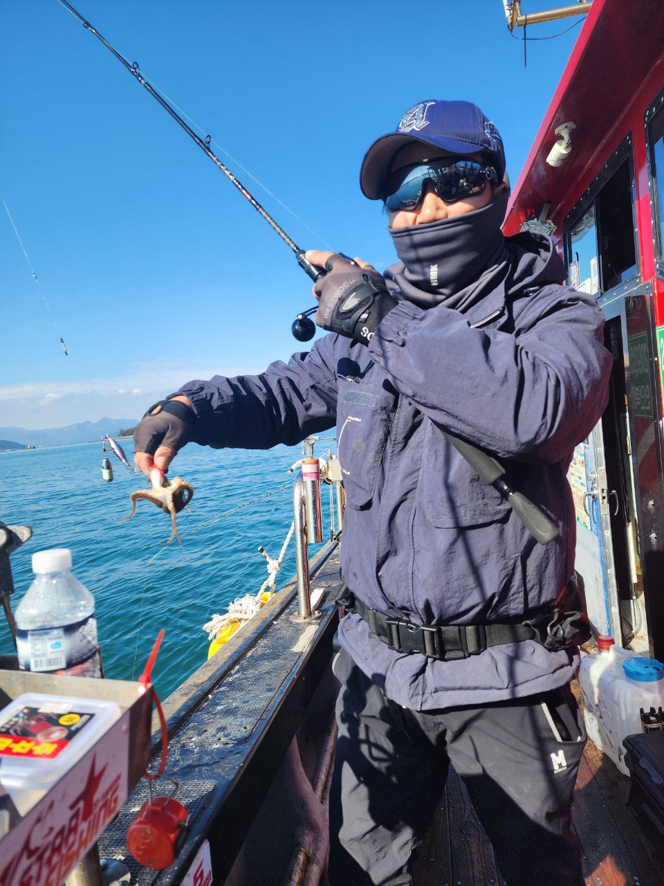 사용자가 올린 이미지