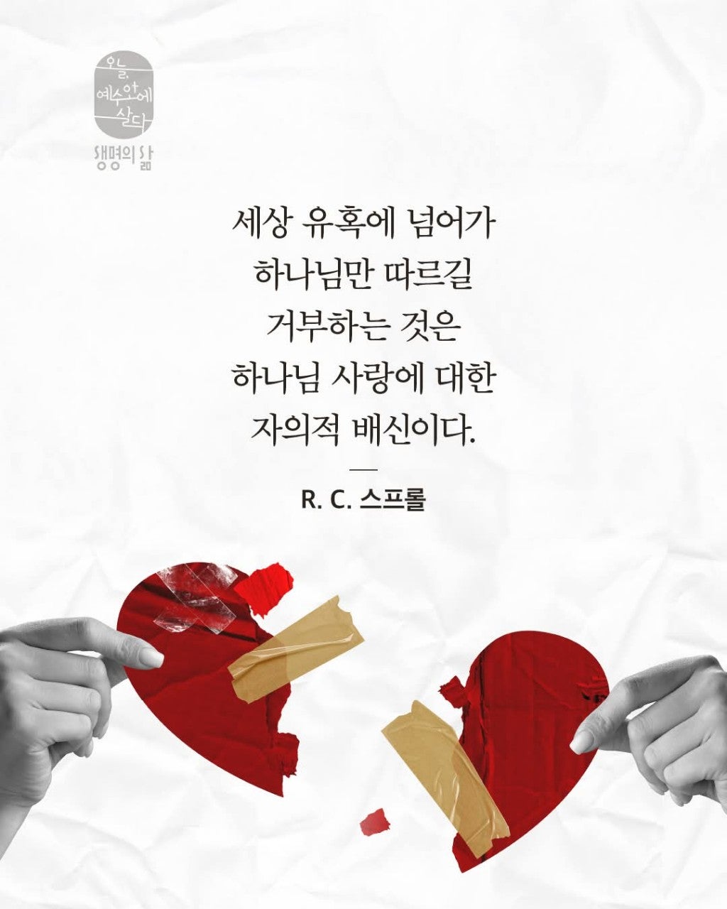 ����ڰ� �ø� �̹���