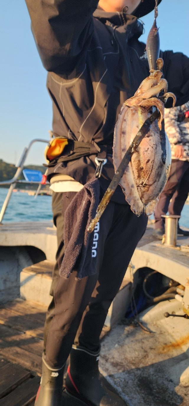 사용자가 올린 이미지