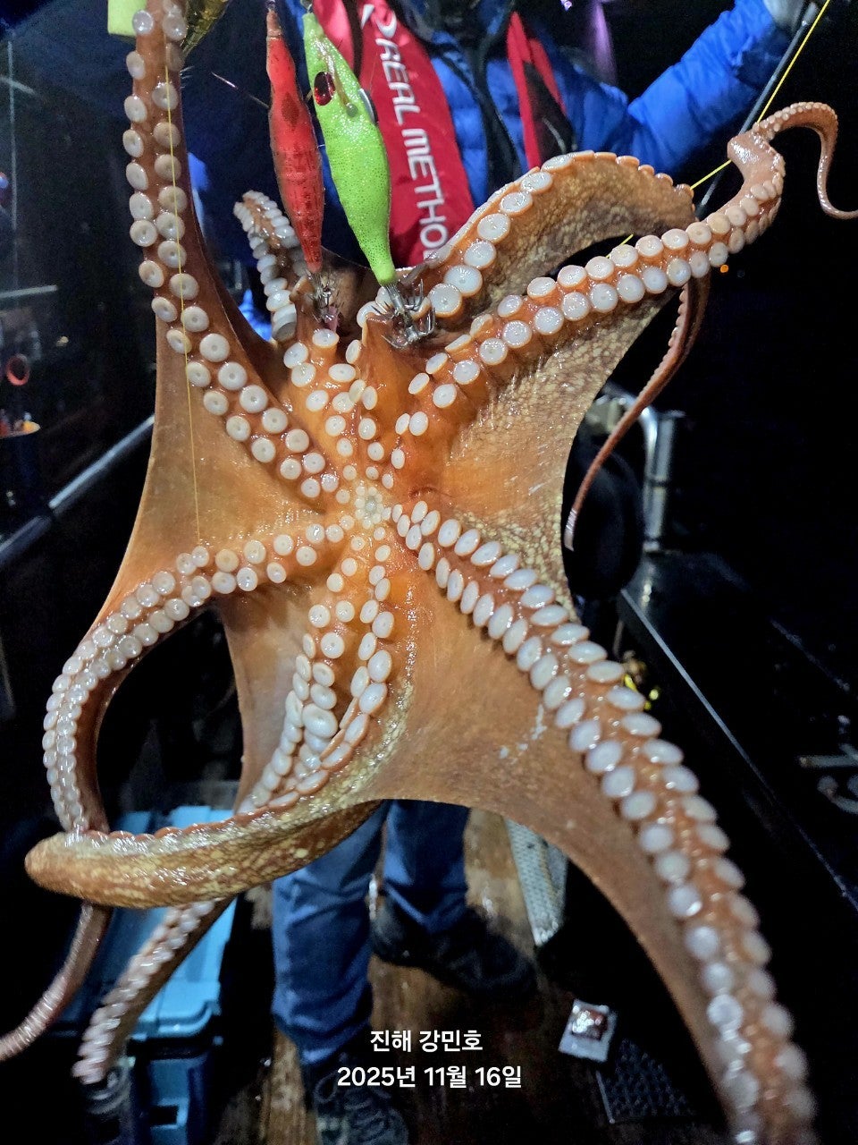 사용자가 올린 이미지