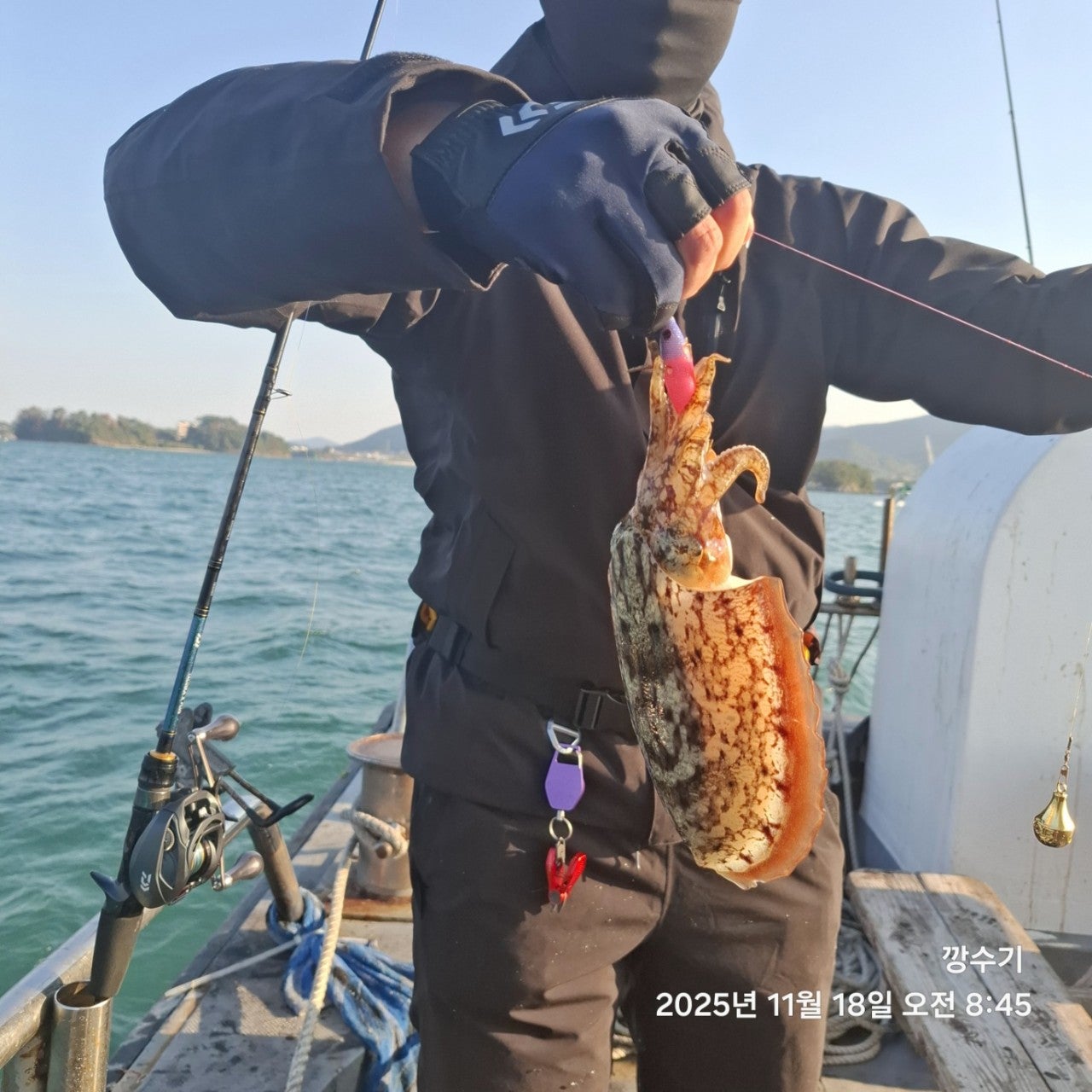 사용자가 올린 이미지