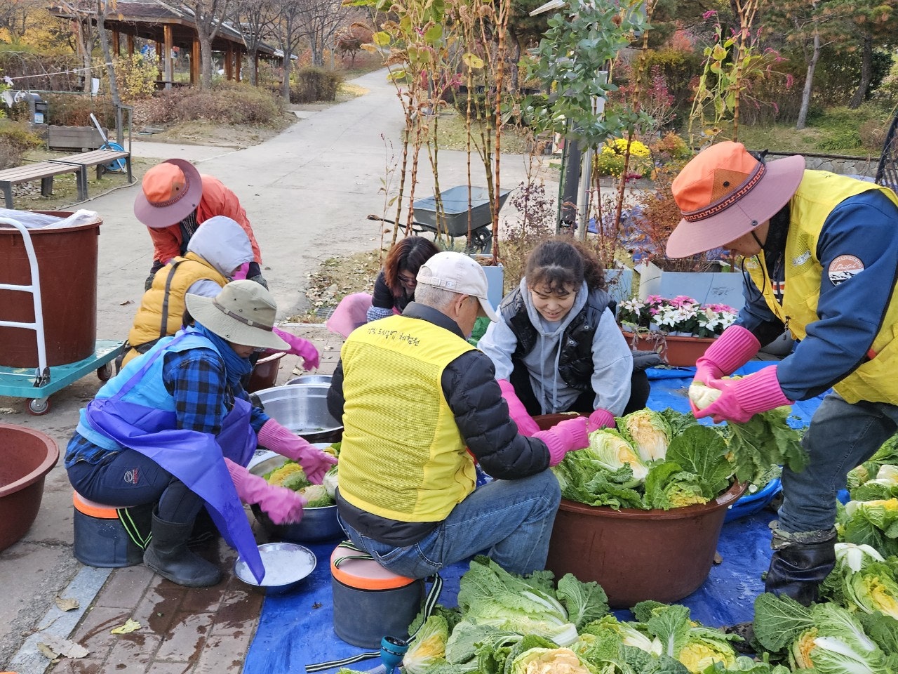 사용자가 올린 이미지