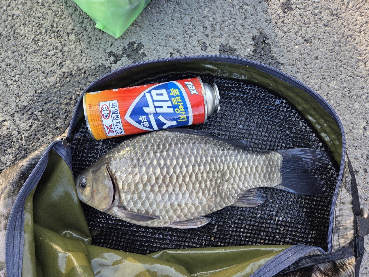 사용자가 올린 이미지