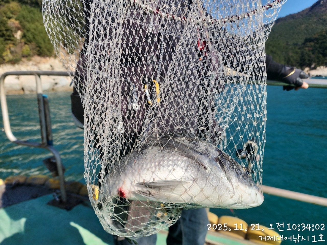 사용자가 올린 이미지