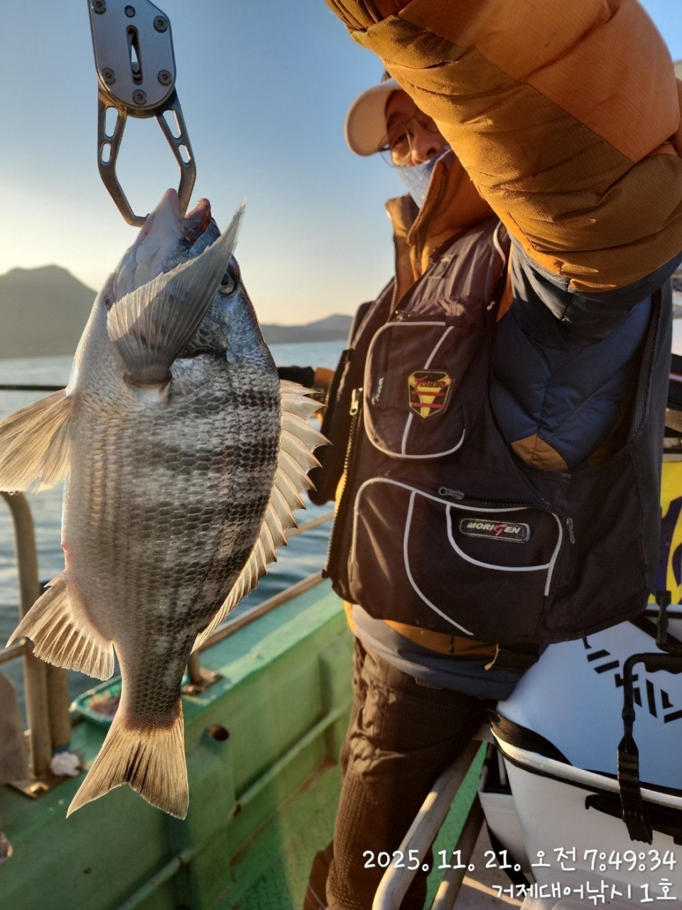 사용자가 올린 이미지