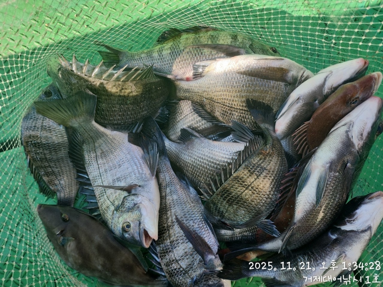 사용자가 올린 이미지