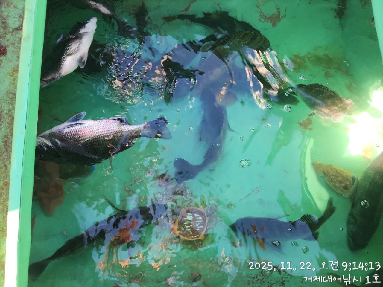 사용자가 올린 이미지