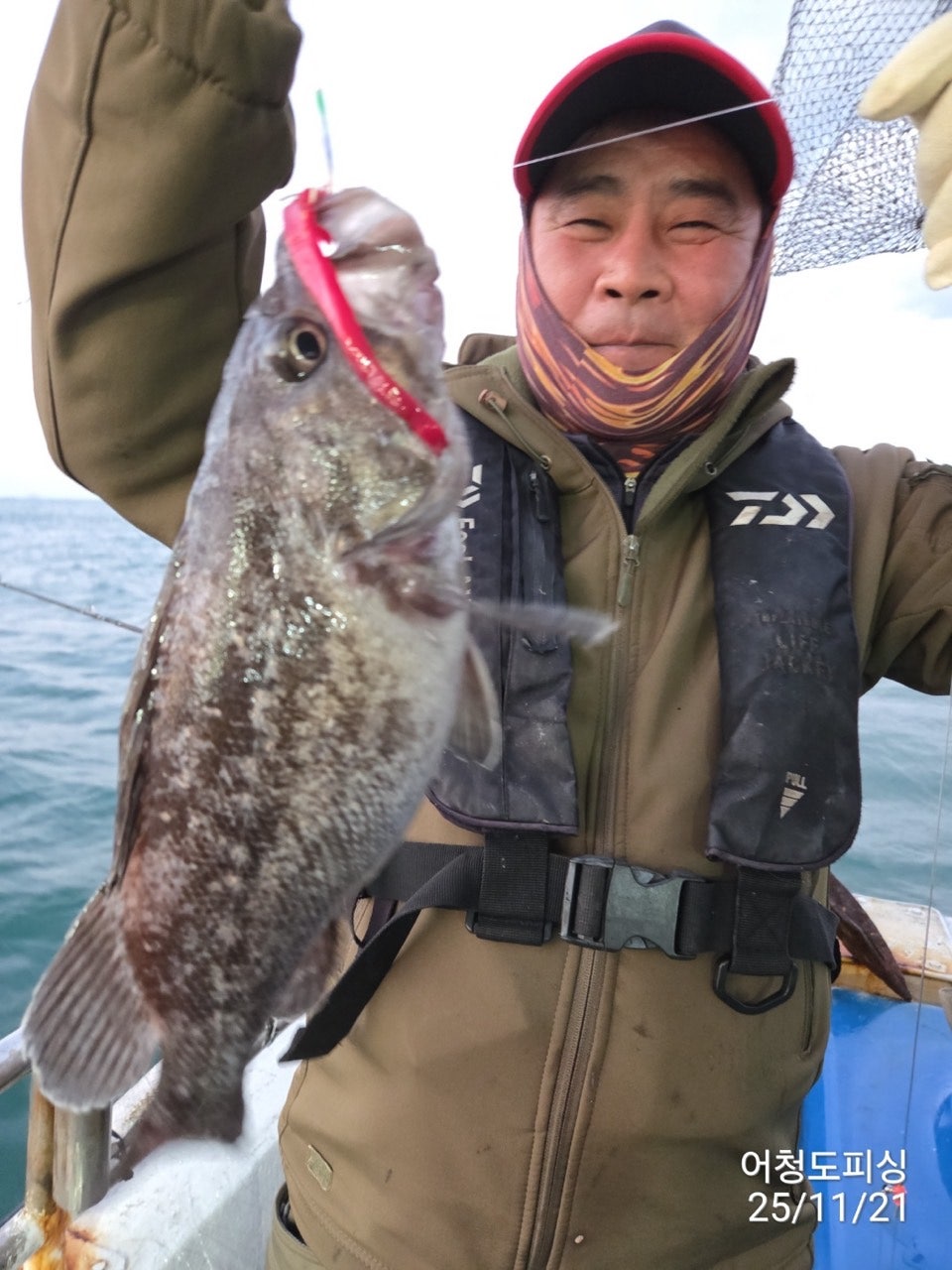 사용자가 올린 이미지