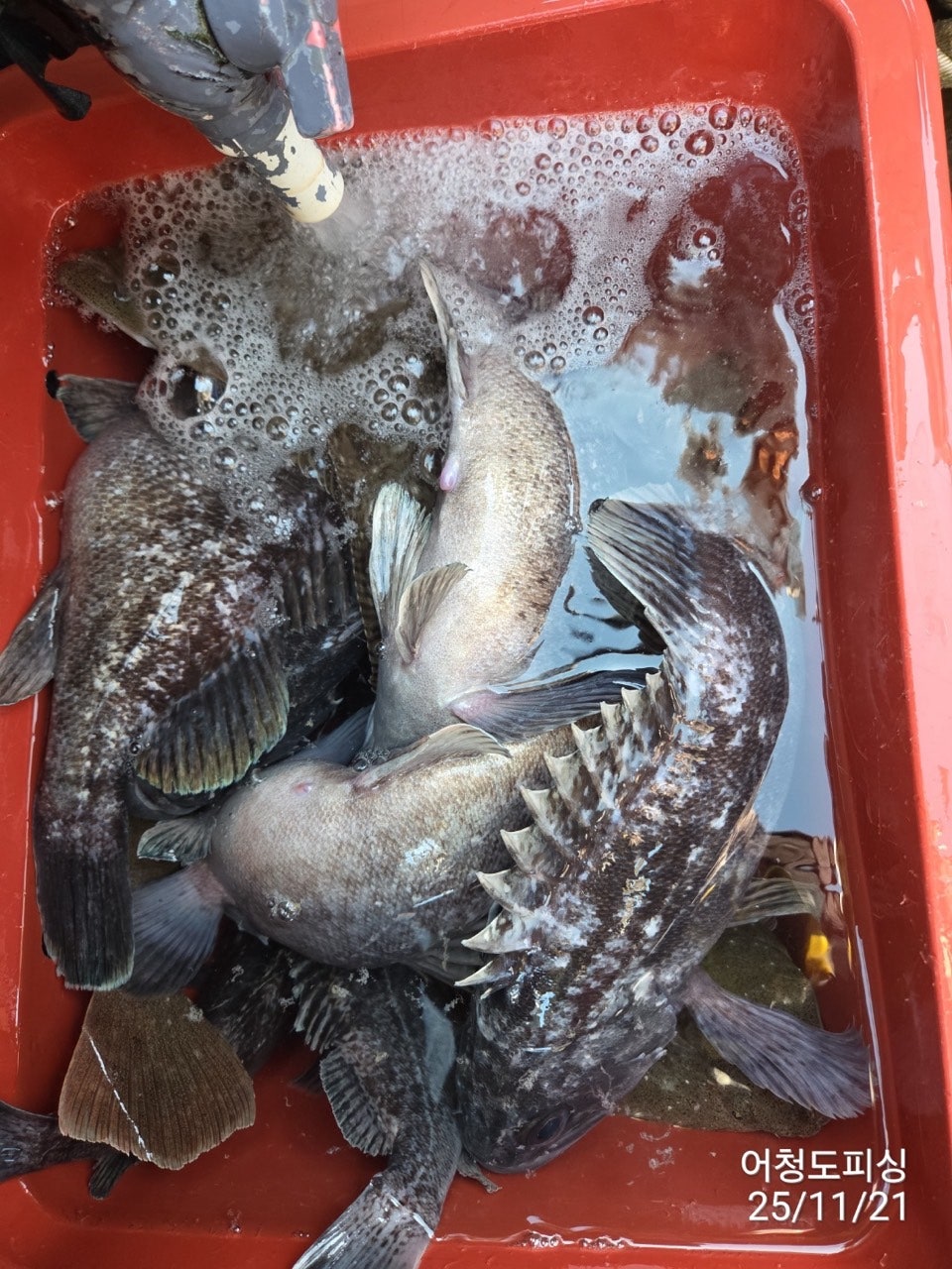 사용자가 올린 이미지