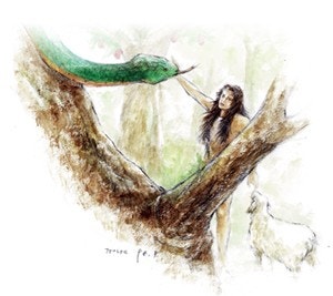 사용자가 올린 이미지