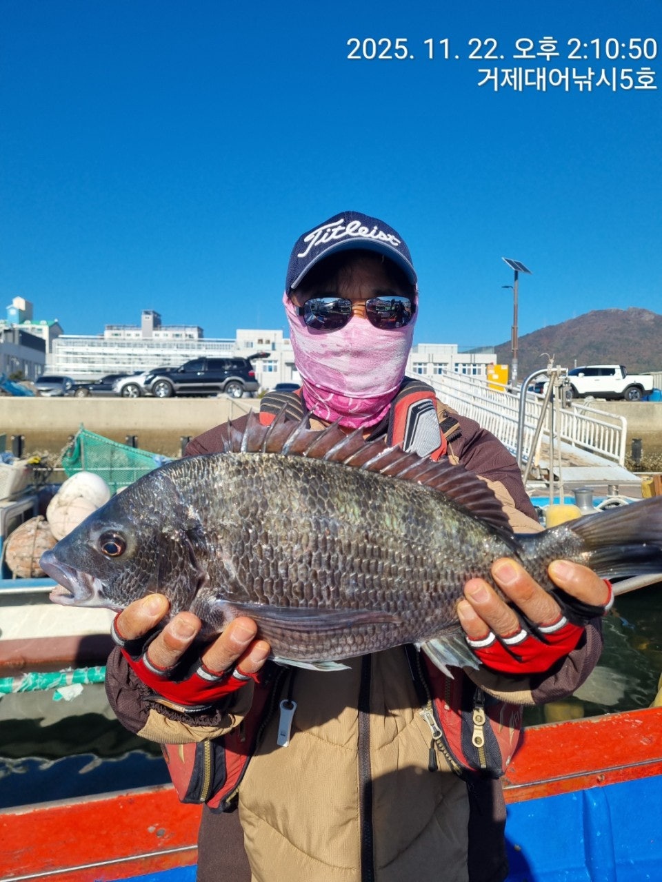 사용자가 올린 이미지