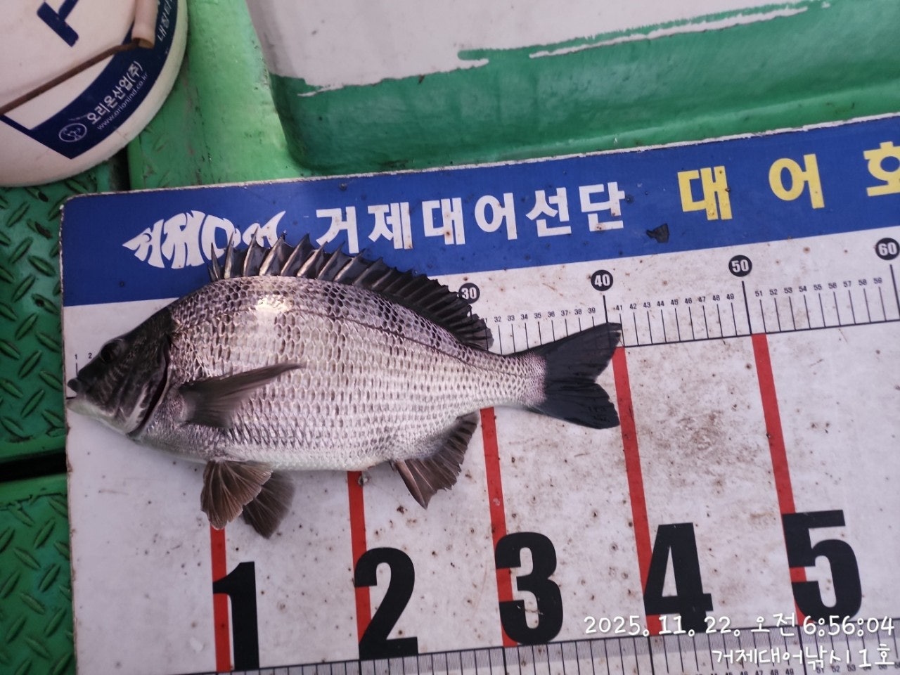 사용자가 올린 이미지