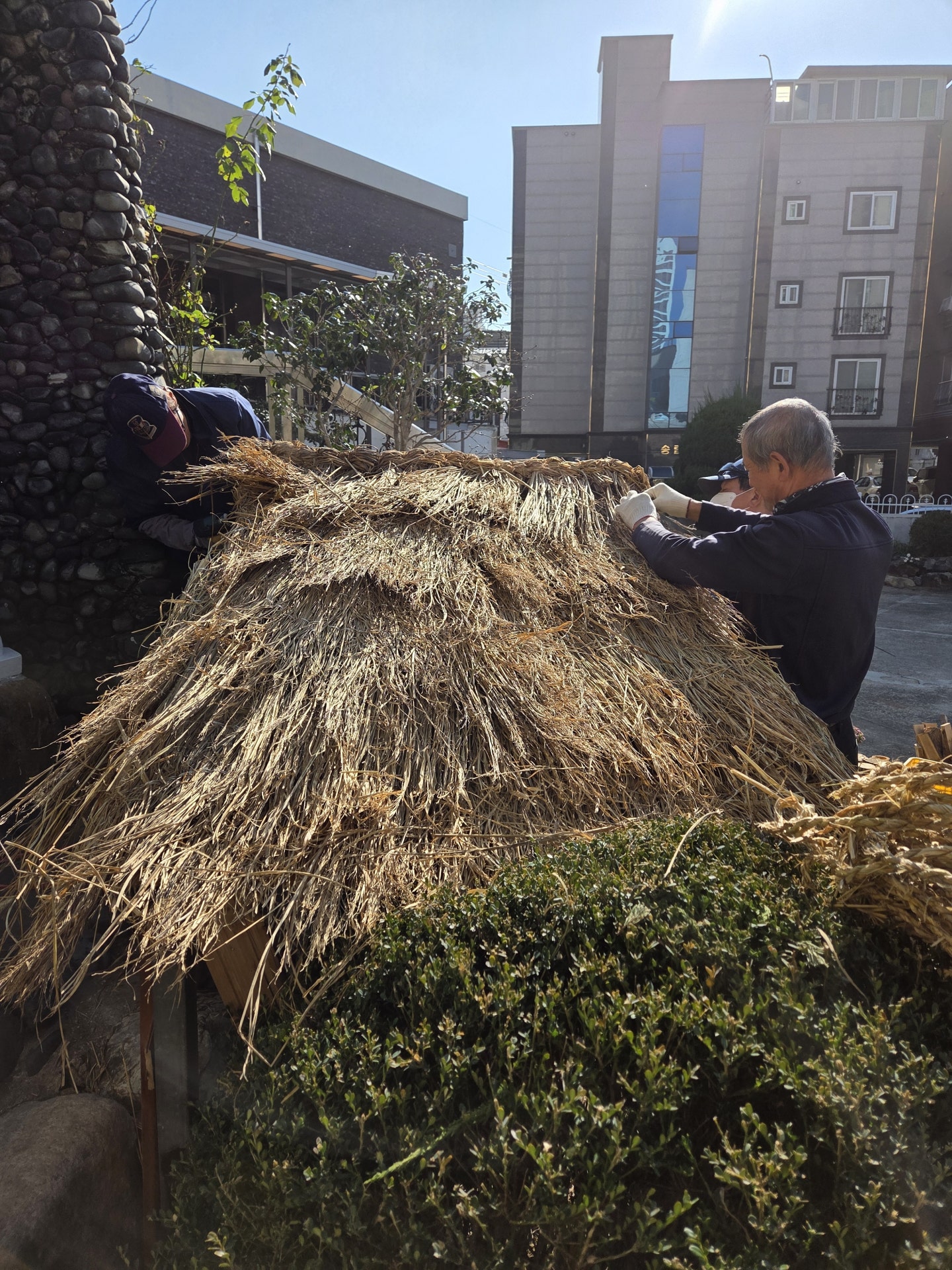 사용자가 올린 이미지