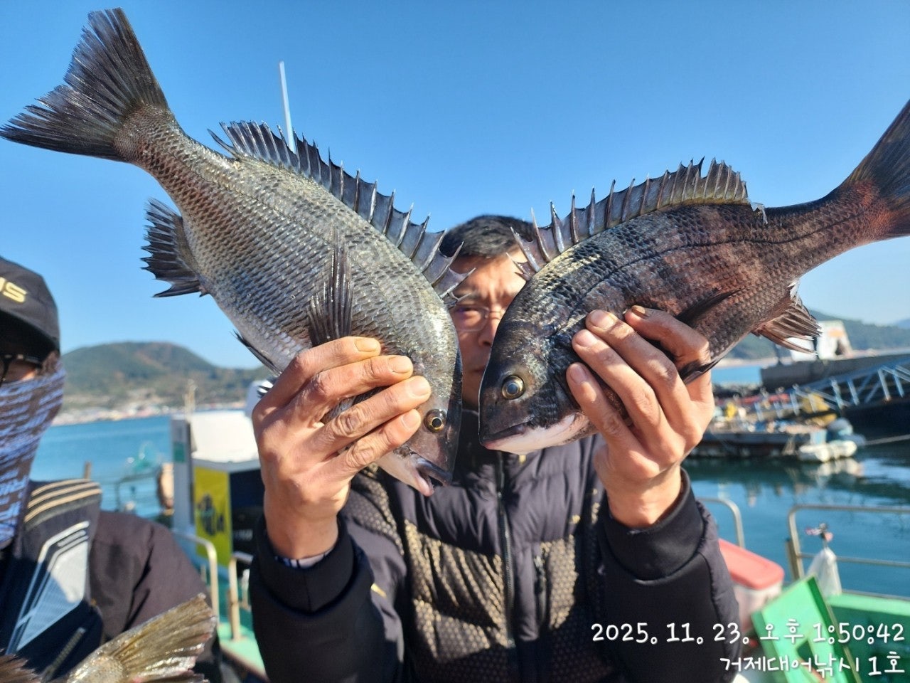 사용자가 올린 이미지