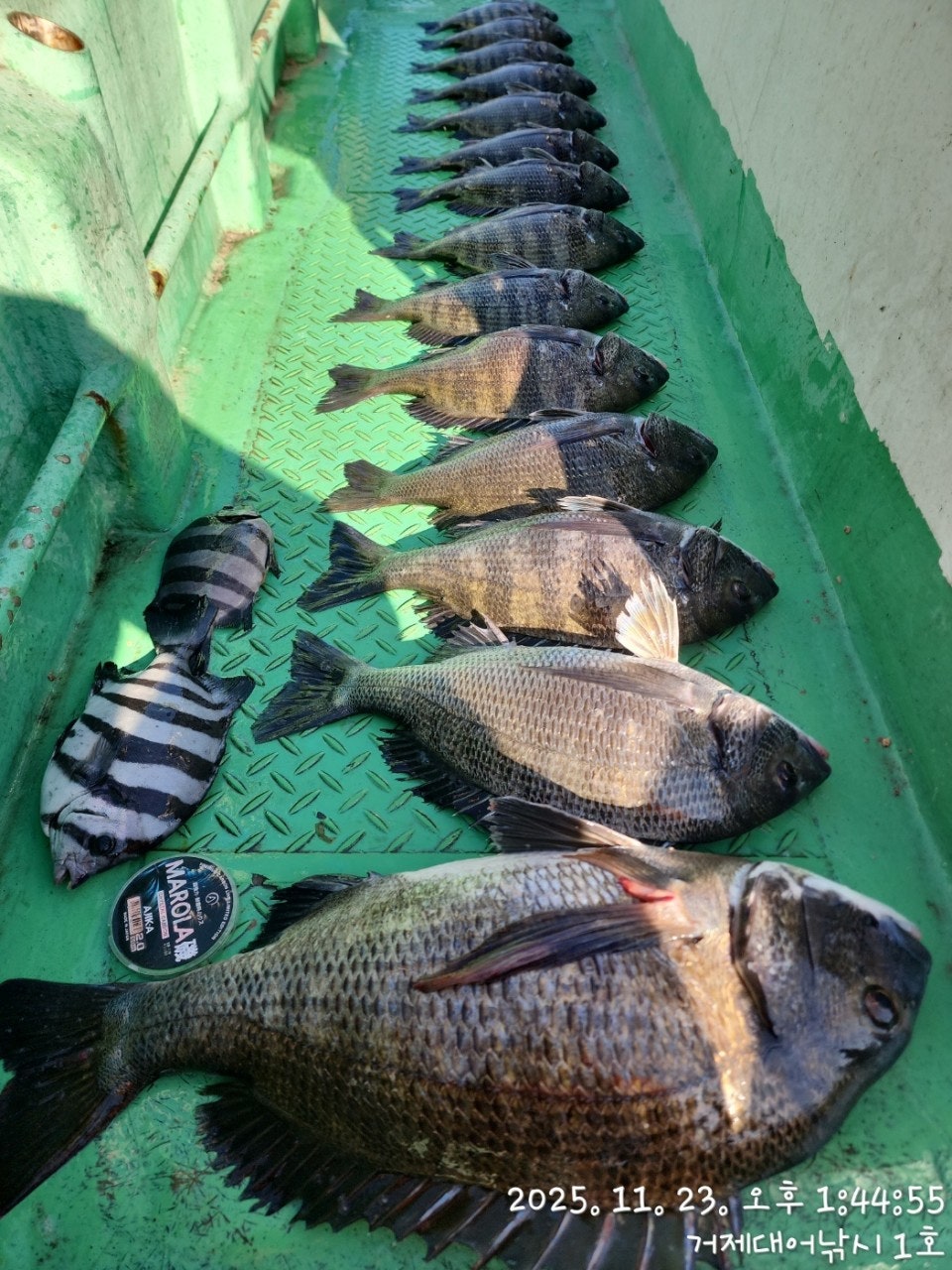 사용자가 올린 이미지