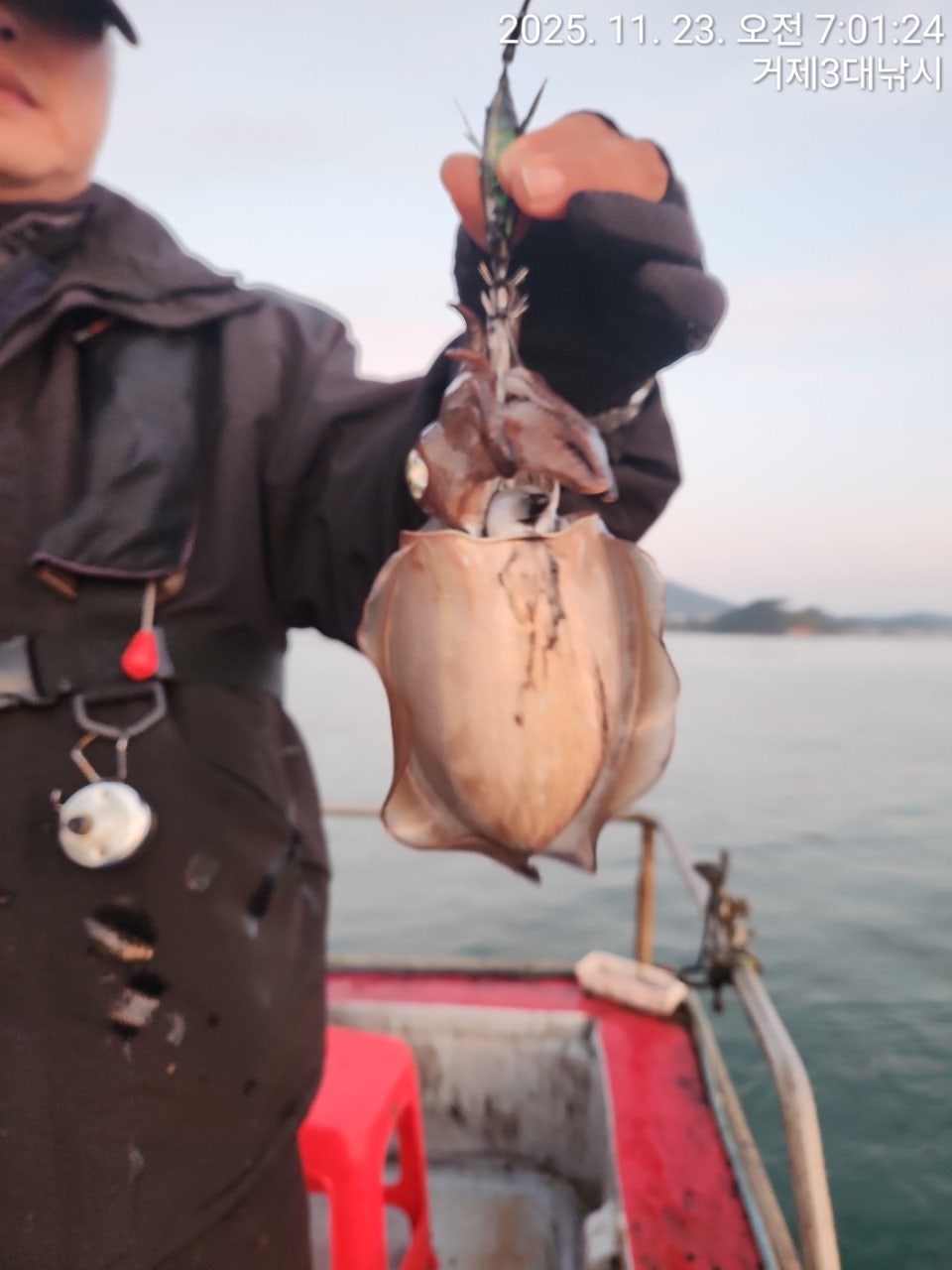 사용자가 올린 이미지