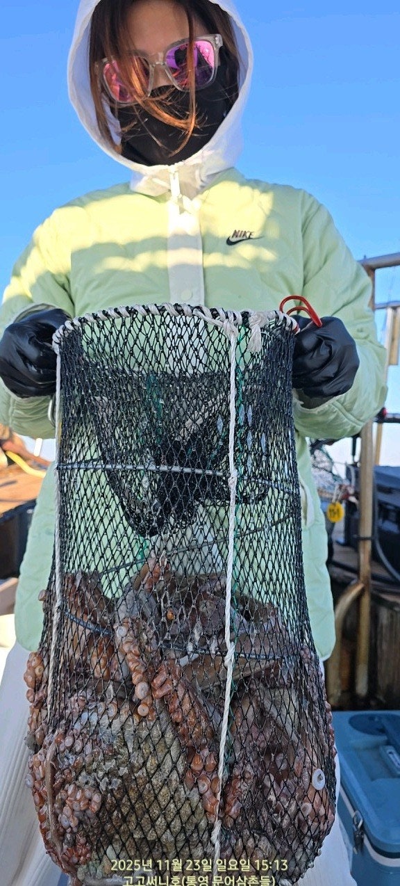 사용자가 올린 이미지