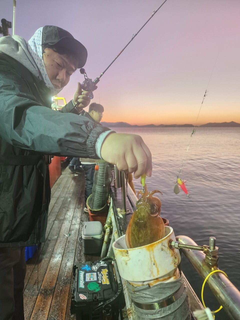 사용자가 올린 이미지