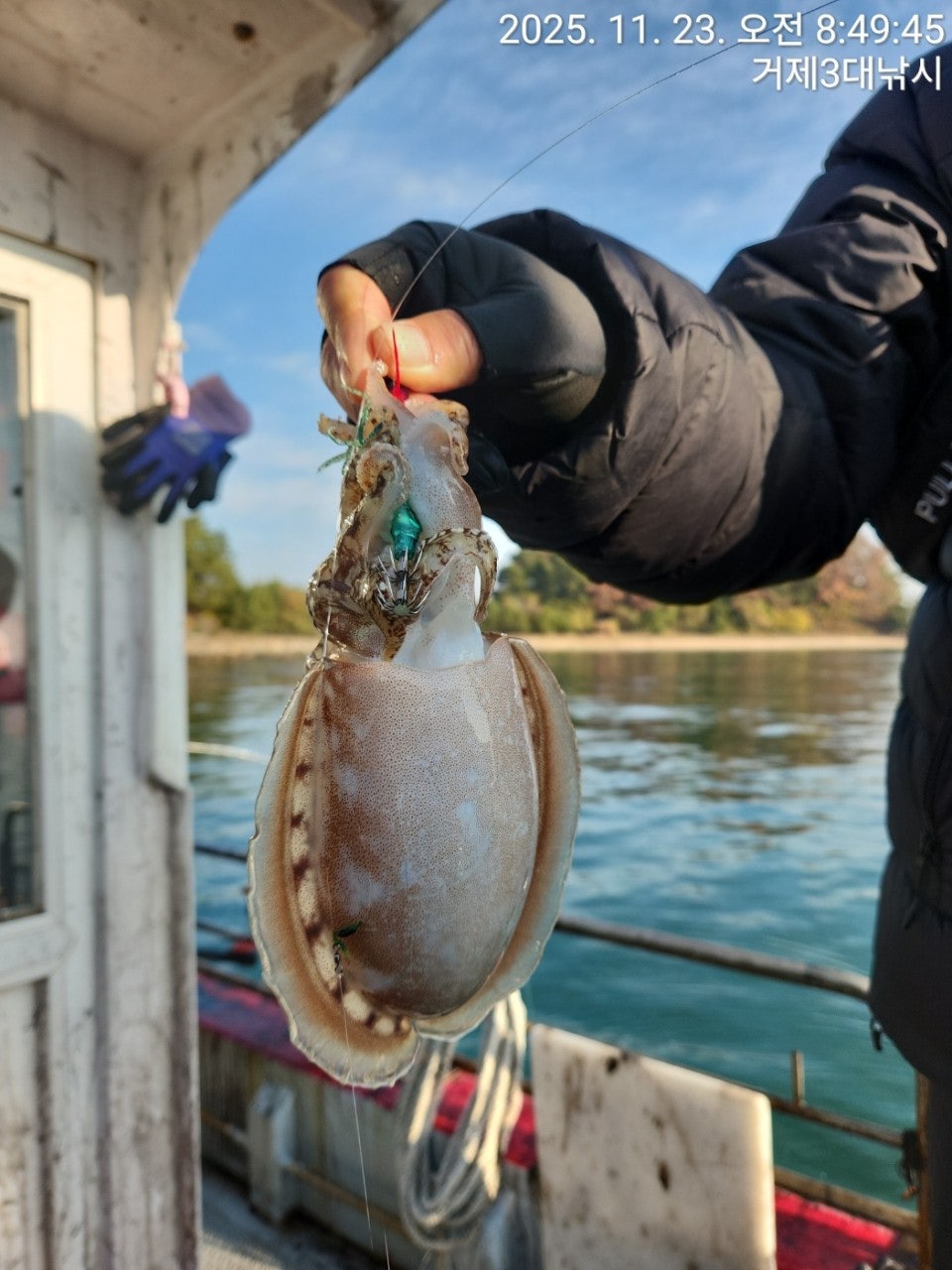 사용자가 올린 이미지