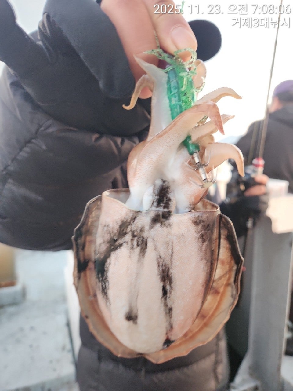 사용자가 올린 이미지