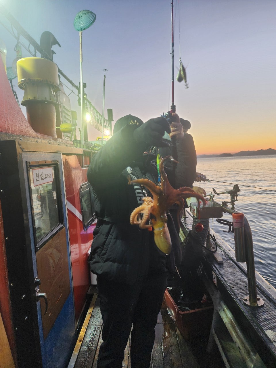 사용자가 올린 이미지