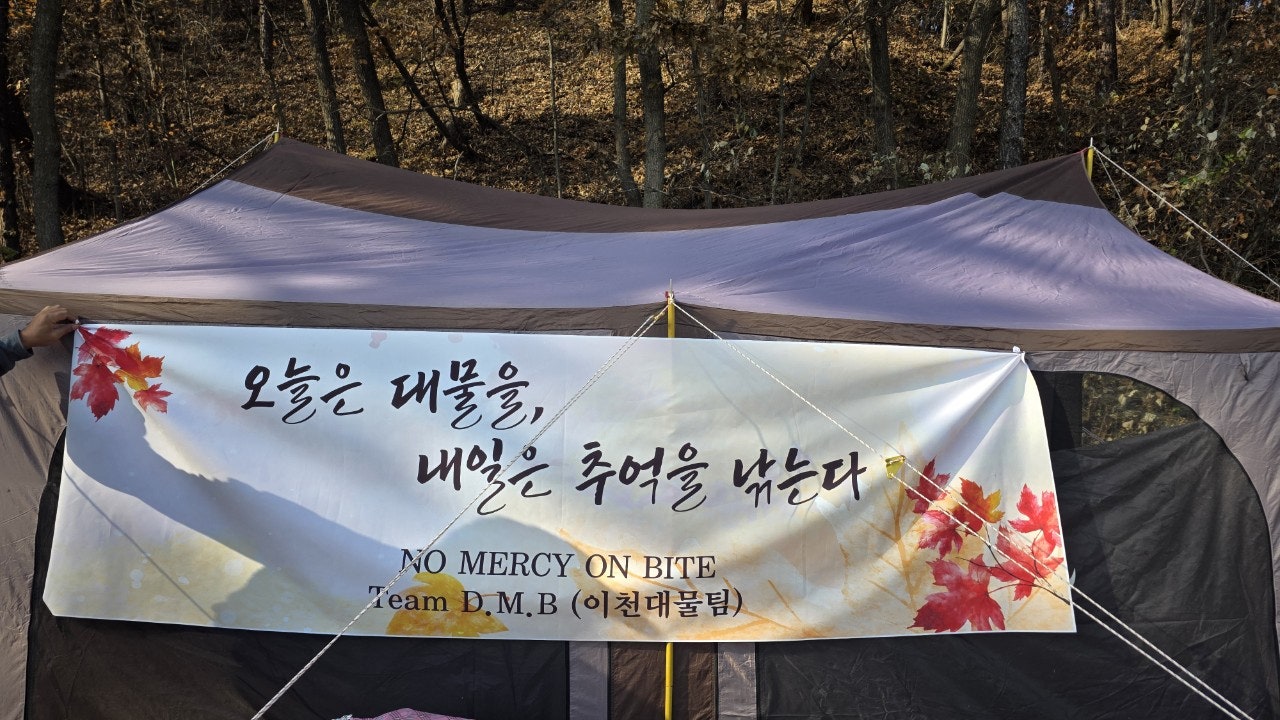 사용자가 올린 이미지