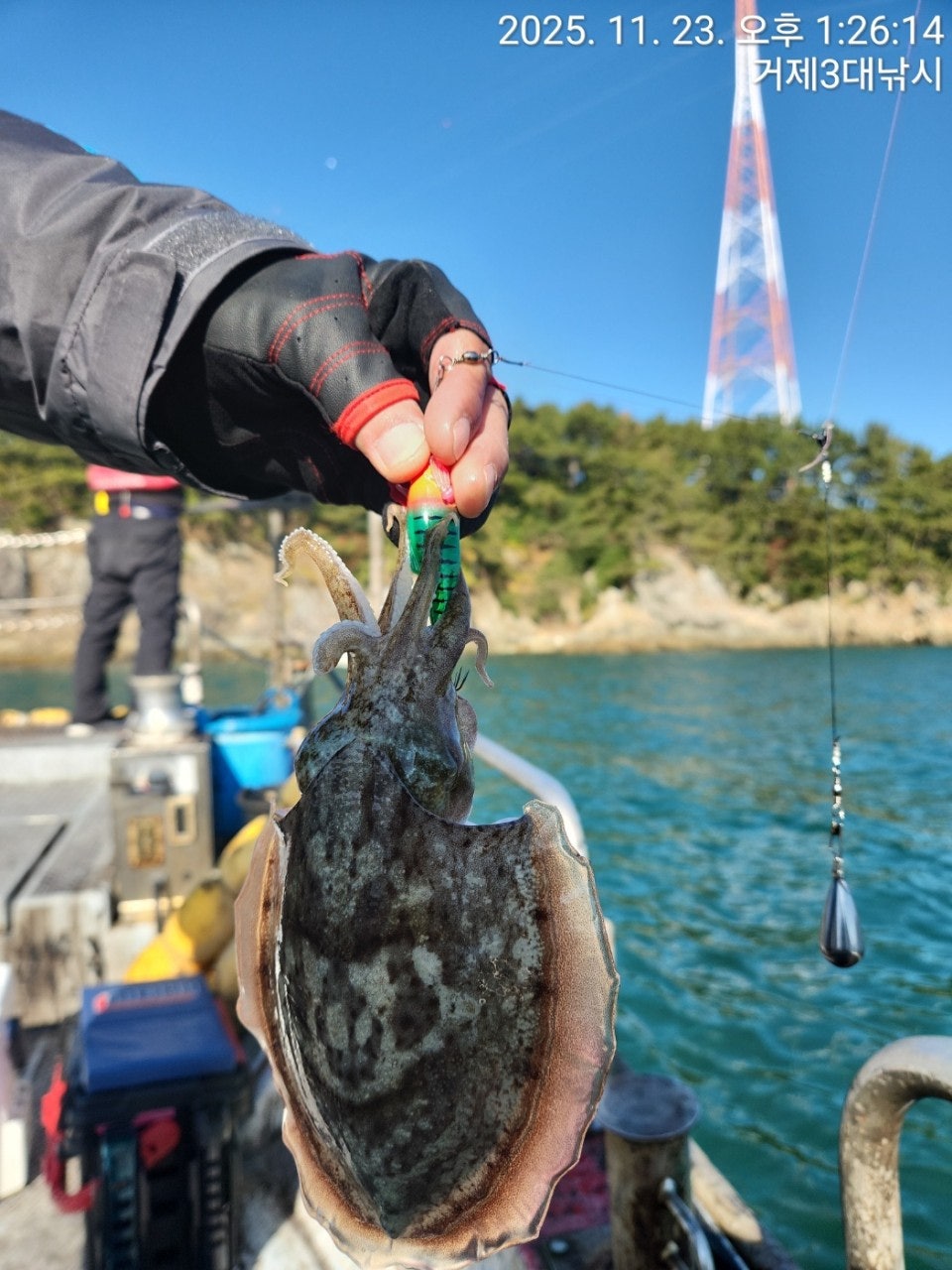 사용자가 올린 이미지