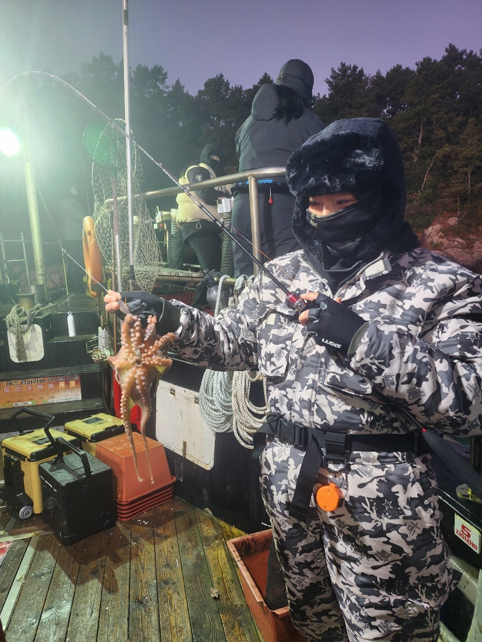 사용자가 올린 이미지