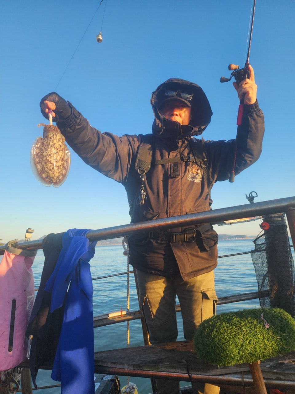 사용자가 올린 이미지