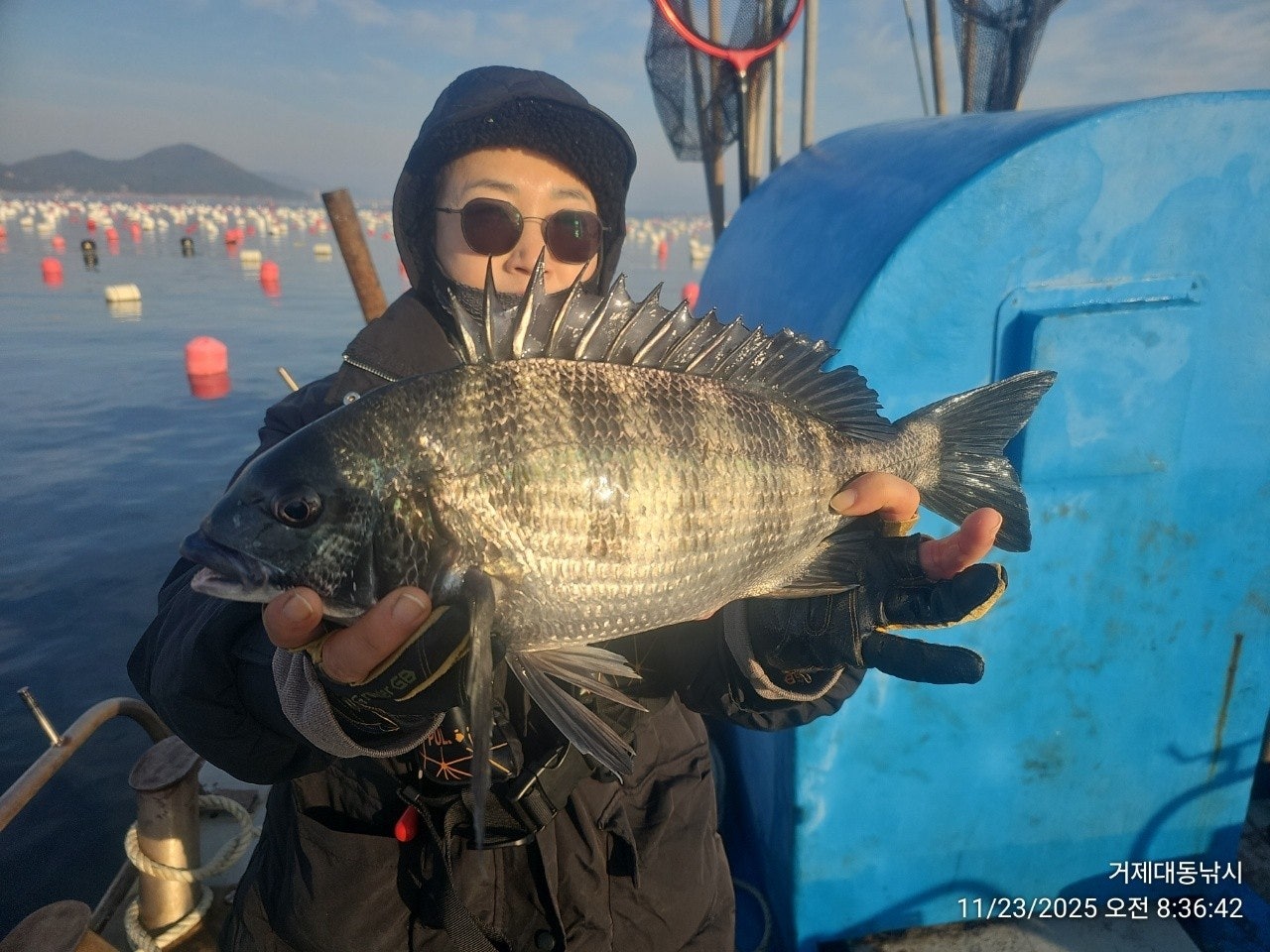 사용자가 올린 이미지