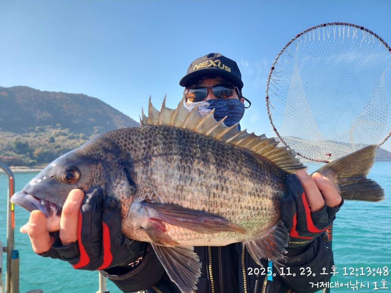 사용자가 올린 이미지