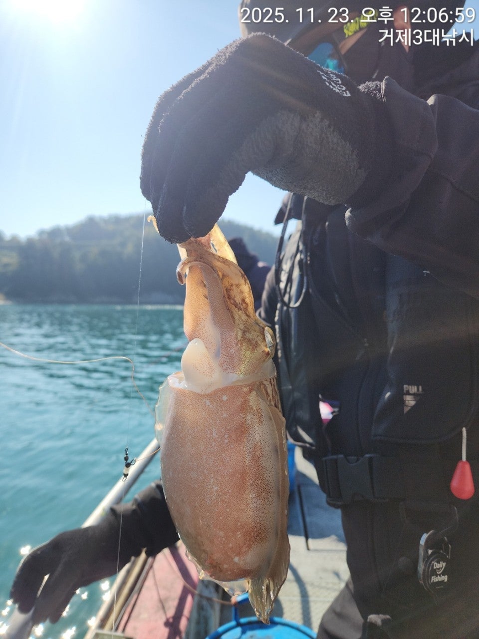 사용자가 올린 이미지