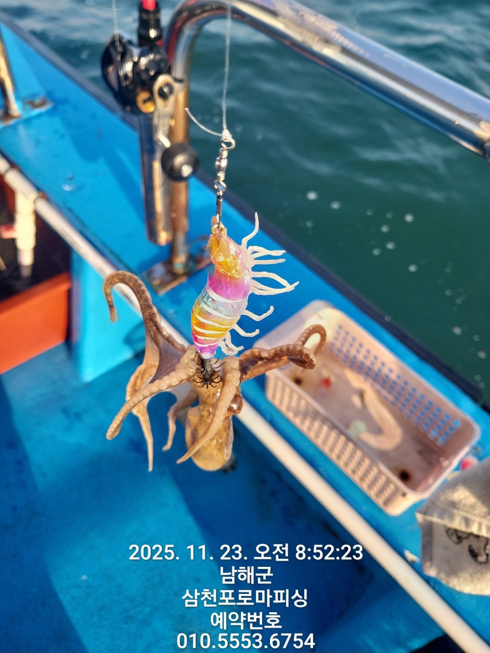 사용자가 올린 이미지