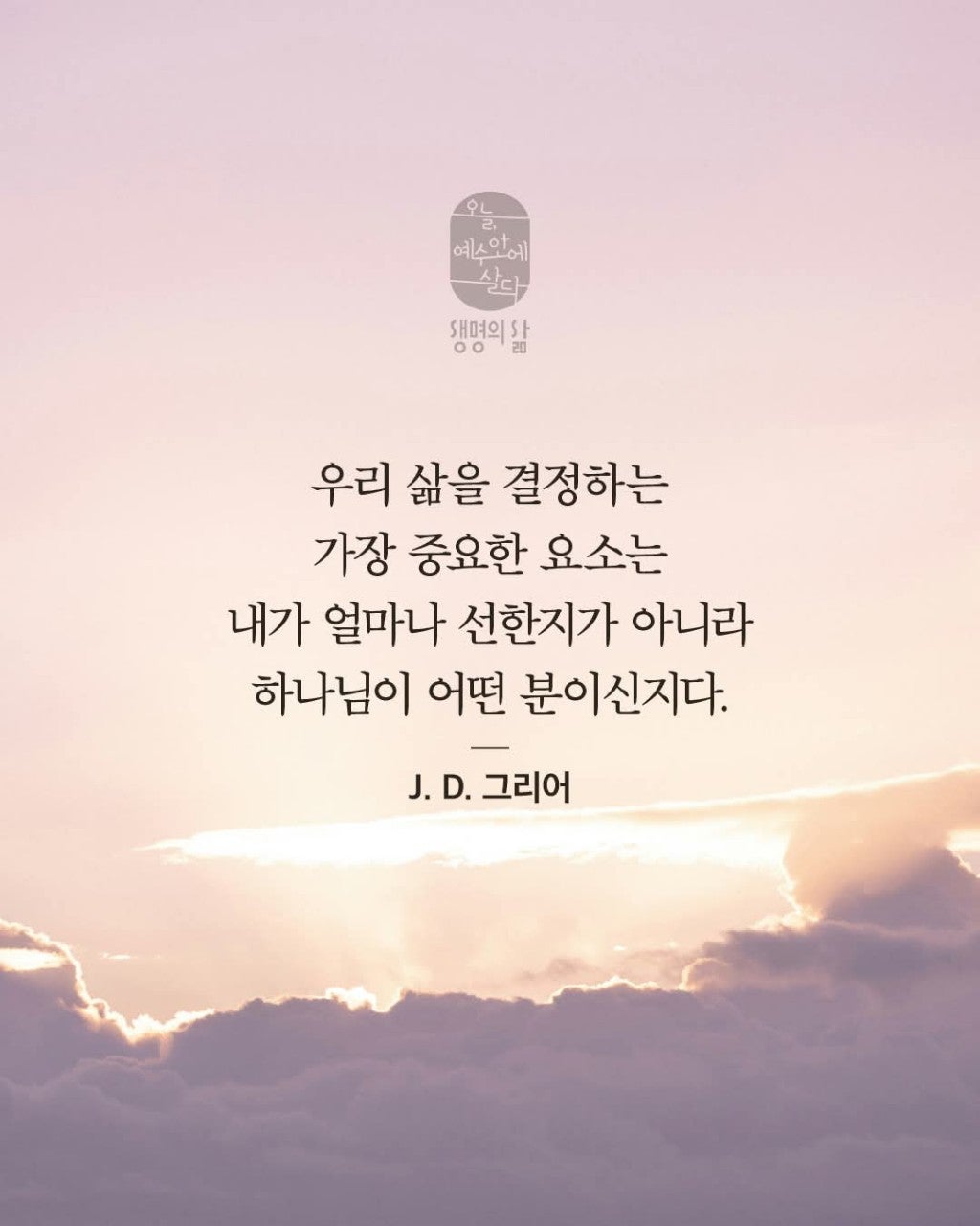 ����ڰ� �ø� �̹���