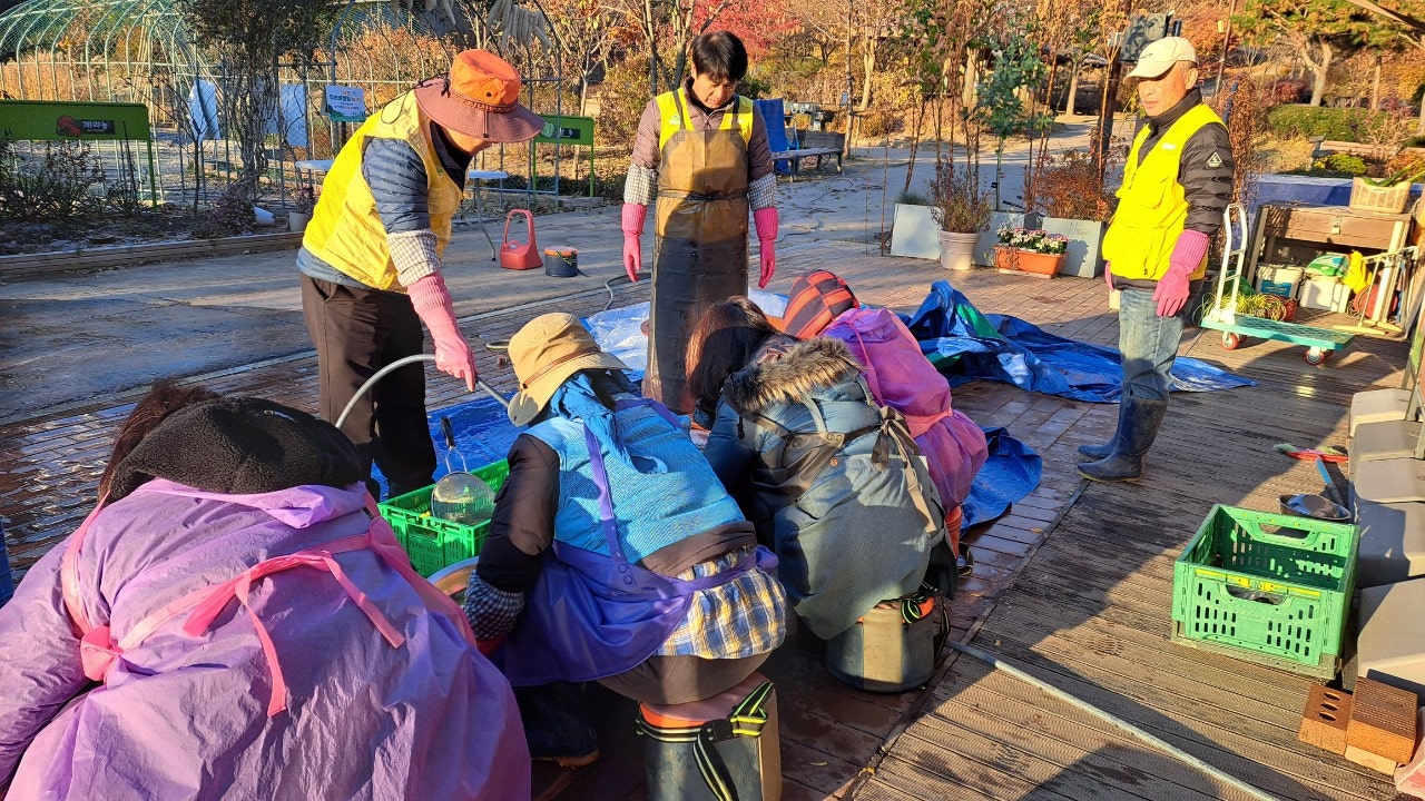 사용자가 올린 이미지