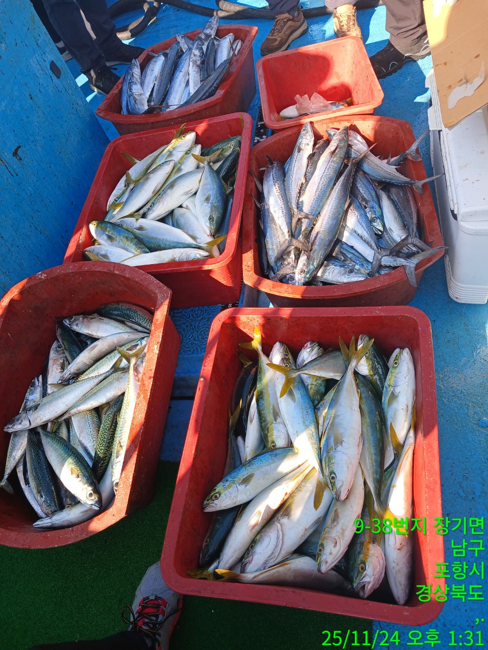 a_bjhUd018svcqkeqtwo0pdqx_9bt2m0.jpg