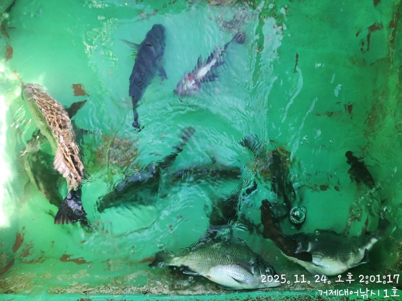 사용자가 올린 이미지