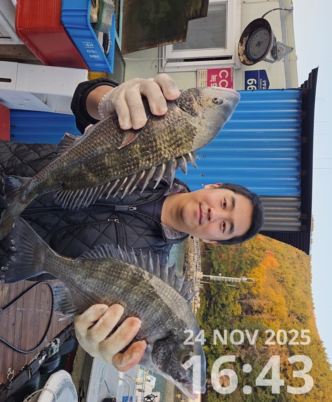 사용자가 올린 이미지