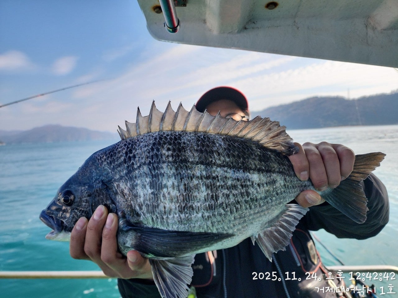 사용자가 올린 이미지