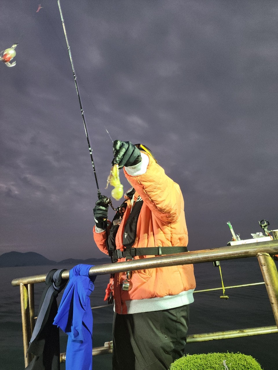 사용자가 올린 이미지