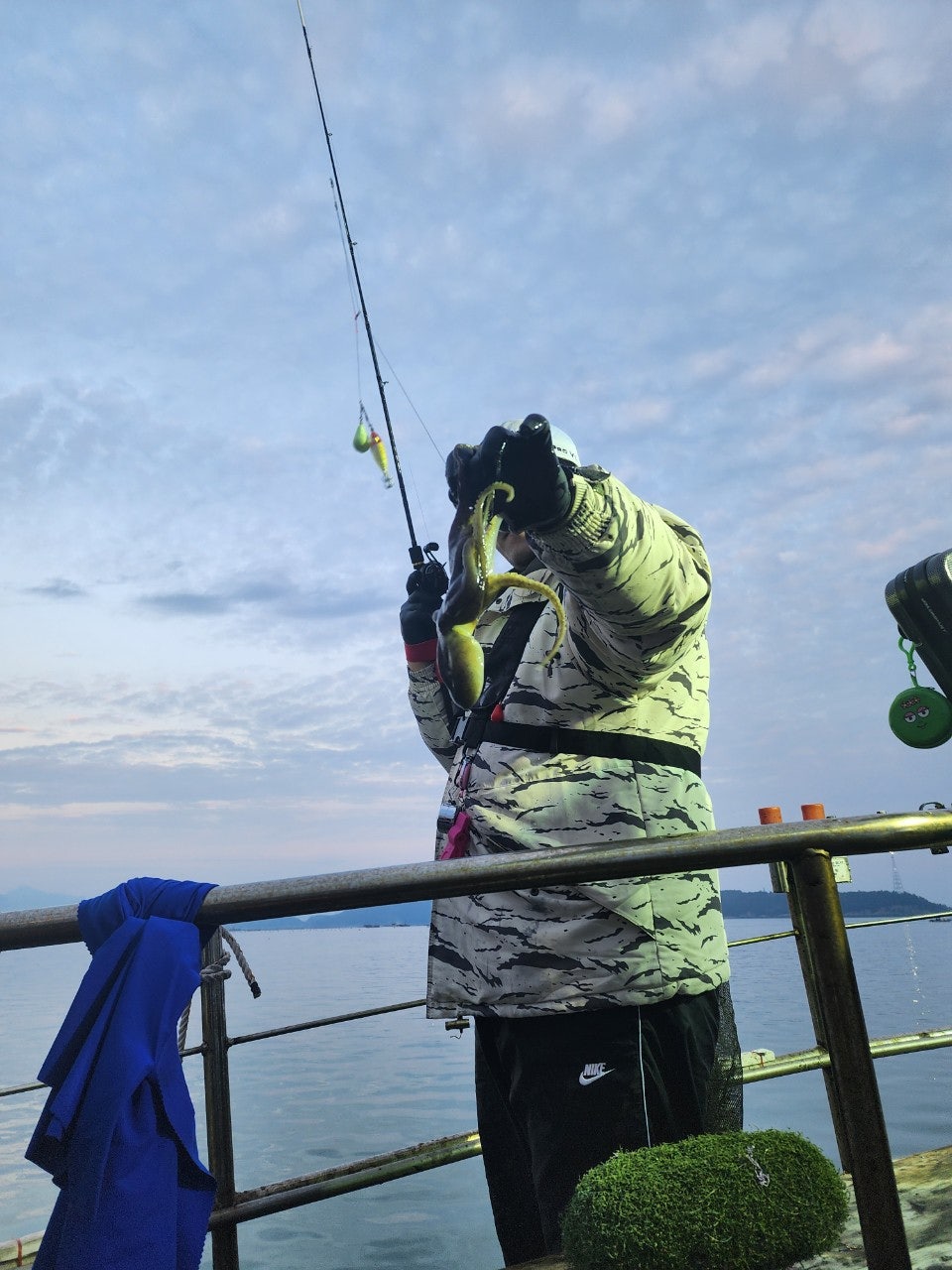 사용자가 올린 이미지