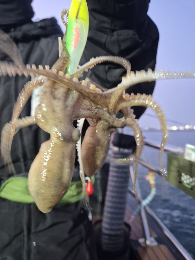 사용자가 올린 이미지