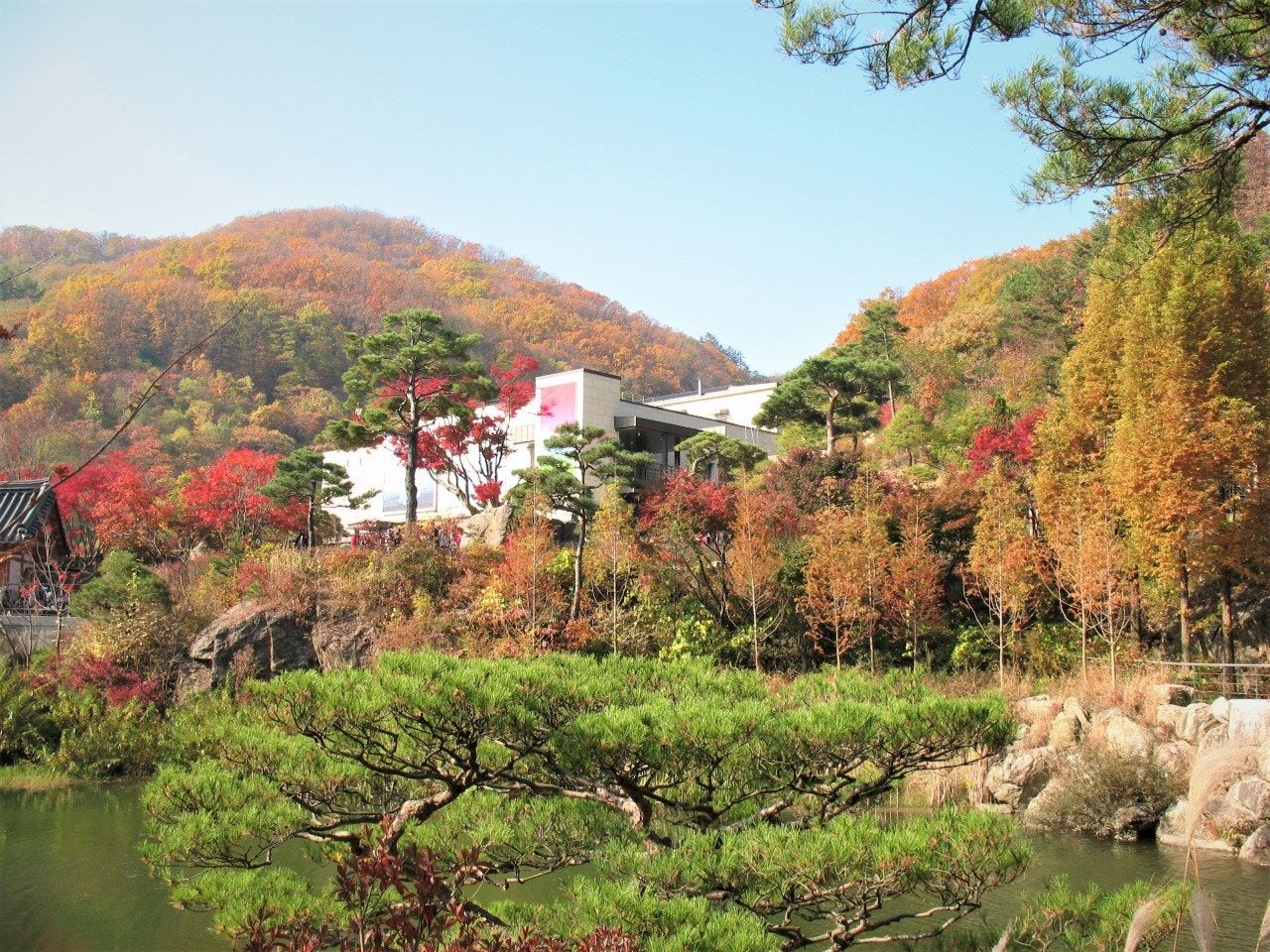 사용자가 올린 이미지